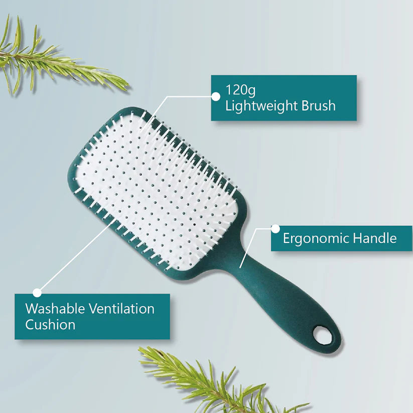 SH-RD Detangle Scalp Massage Paddle Brush